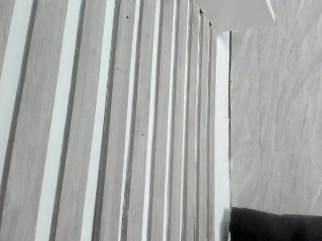 Freechat wandalover on BongaCams