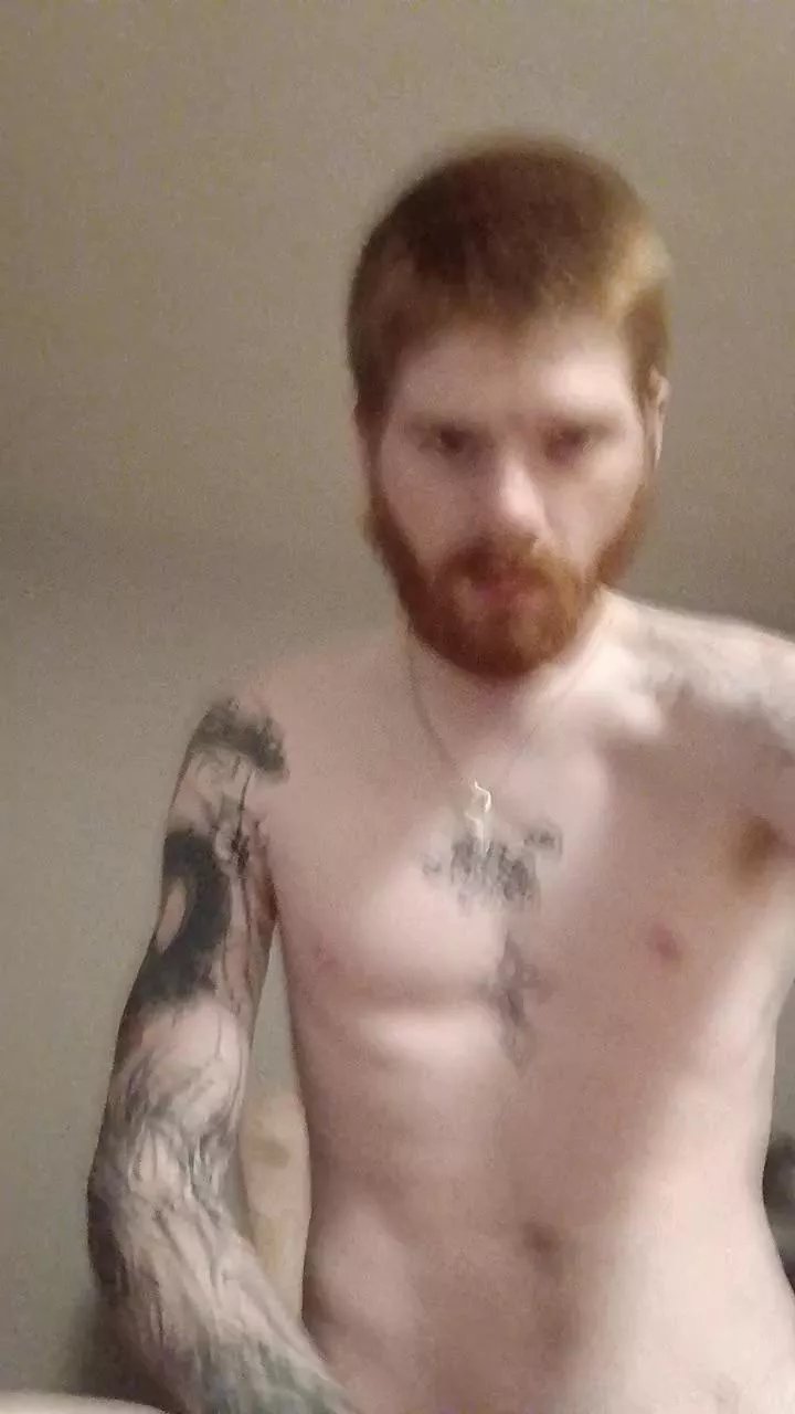 Offline D_BOOK on Cam4