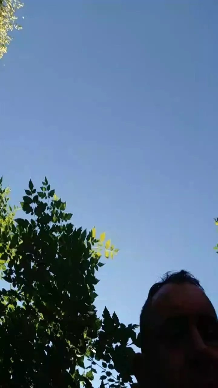 Offline elgefe80 on Cam4