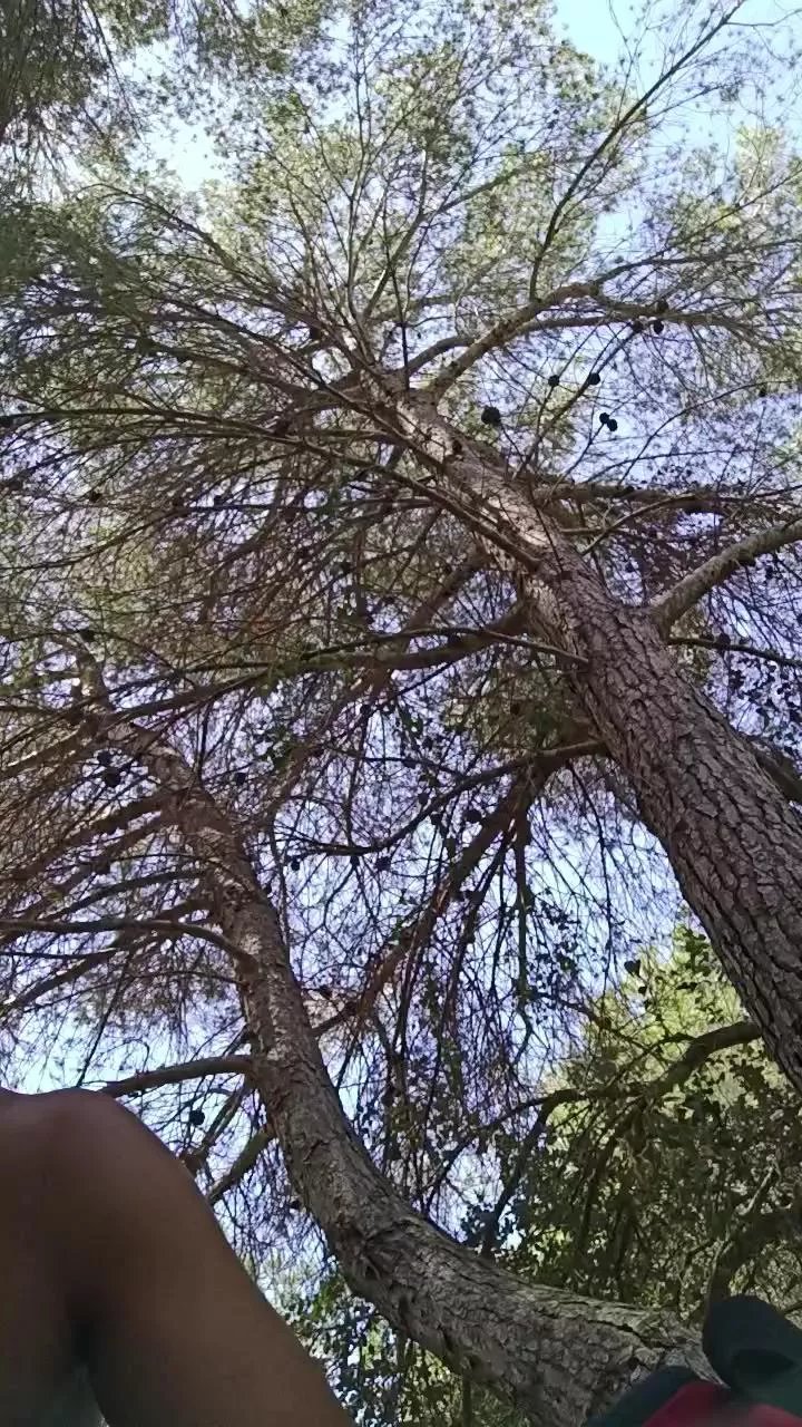 Offline lechero96_hot on Cam4