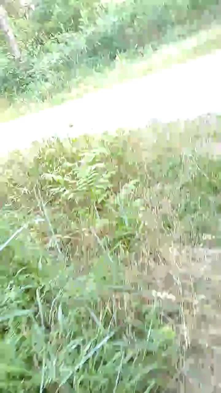 Lui8 on Cam4 