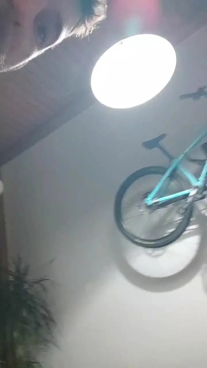 Offline Mooooustache on Cam4