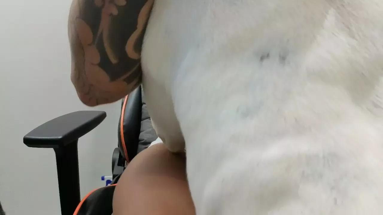 pitgostoso on Cam4 