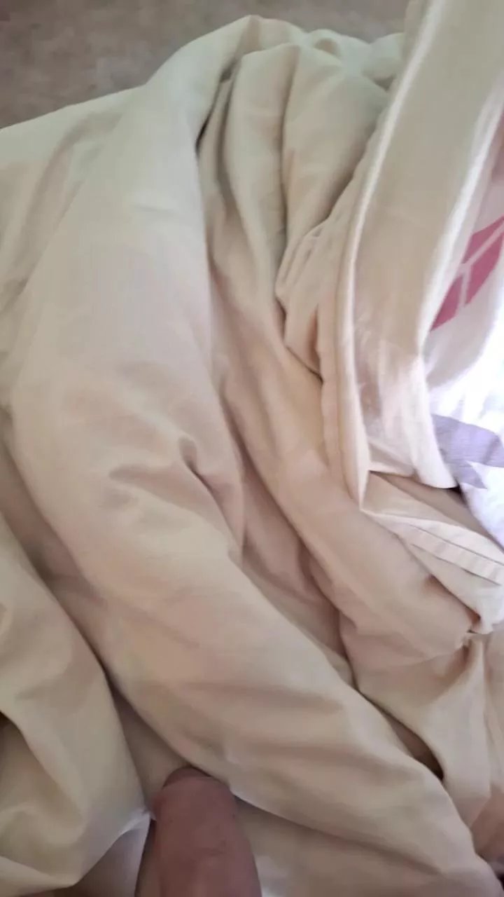 Offline plaisir442 on Cam4