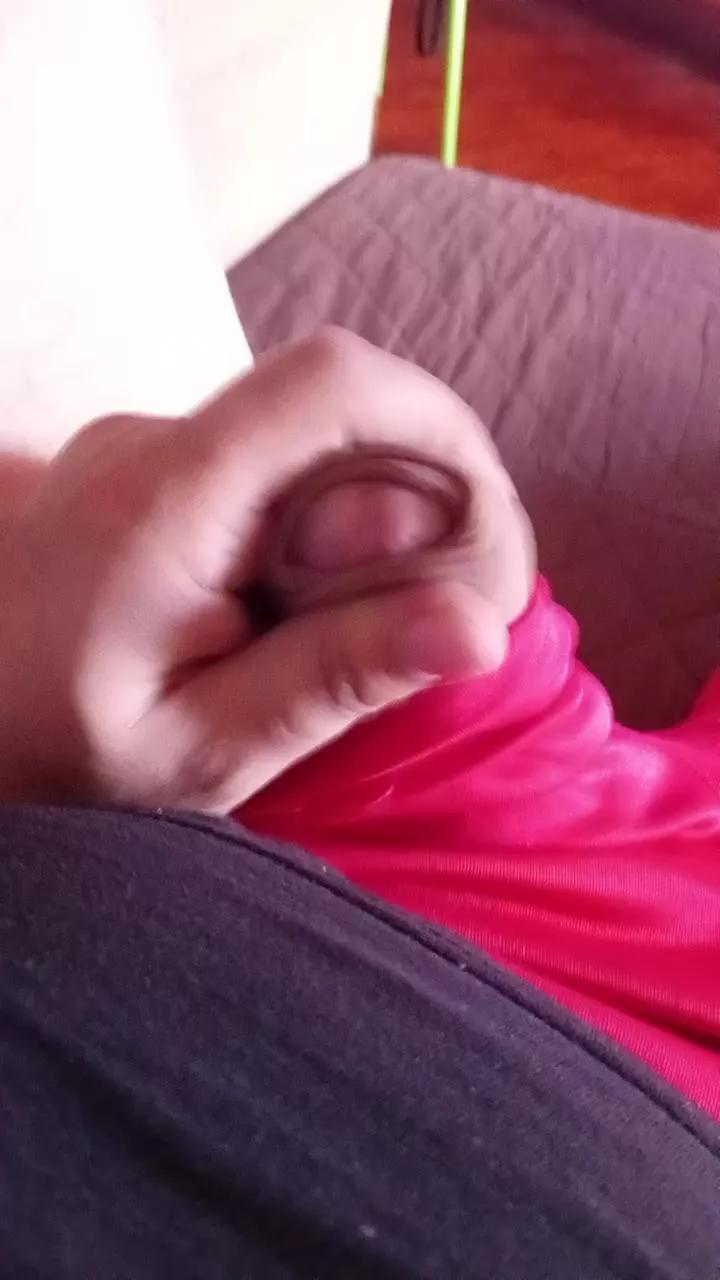 sapessi3 on Cam4 