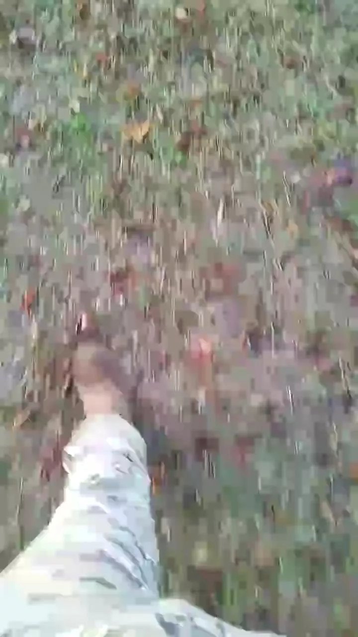 Offline Soldiers93 on Cam4