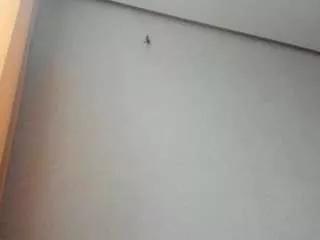 adelheid1 on CamSoda 