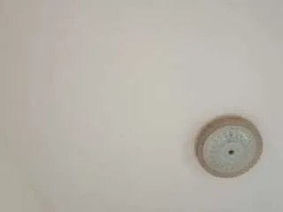 Offline amalarabic on CamSoda