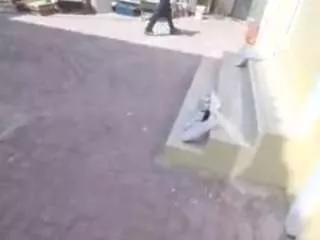 Freechat bazeywonder on CamSoda