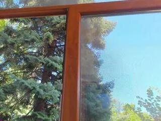 Offline candyteen on CamSoda