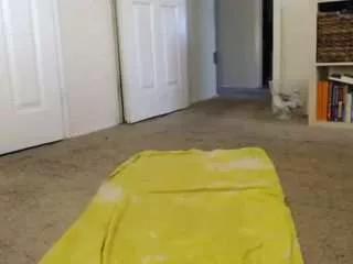 elegance on CamSoda 