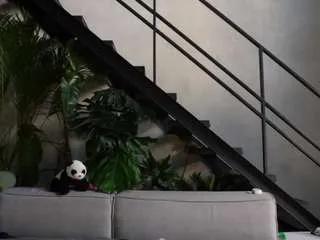 Freechat gingerpie18 on CamSoda