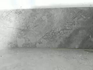 Freechat indianajonness on CamSoda