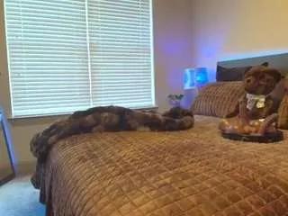 Private jadacream on CamSoda