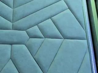 Offline leiawong on CamSoda