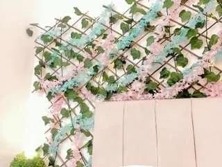 Freechat lexibloom on CamSoda