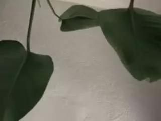 sexysagittarius1212 on CamSoda 