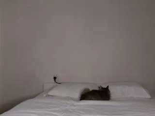 Offline starmilkyway on CamSoda