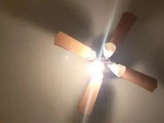 Offline theonegee on CamSoda