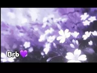 violeta-milleer on CamSoda 