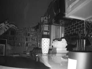 voyeurcam-bridgetleewalters-02 on CamSoda 