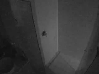voyeurcam-casa-salsa-bathroom-7 on CamSoda 