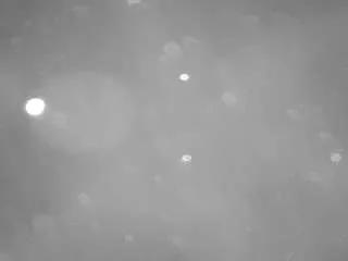 Freechat voyeurcam-casa-salsa-pool-1 on CamSoda