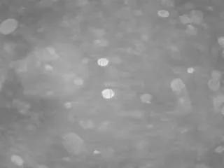 Freechat voyeurcam-casa-salsa-pool-1 on CamSoda