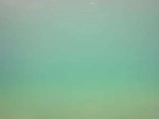 Freechat voyeurcam-casa-salsa-pool-1 on CamSoda