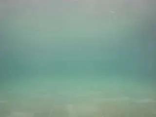 Freechat voyeurcam-casa-salsa-pool-1 on CamSoda