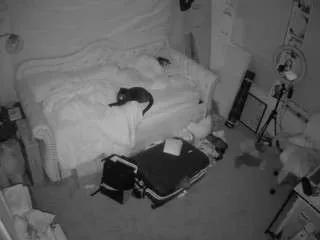 voyeurcam-hazelgrace-02 on CamSoda 