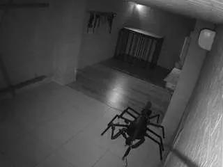 voyeurcam-jb-domination-1 on CamSoda 