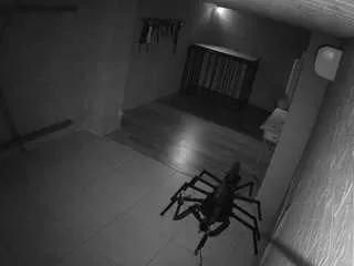 voyeurcam-jb-domination-1 on CamSoda 