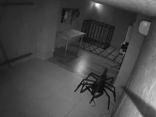 voyeurcam-jb-domination-1 on CamSoda 
