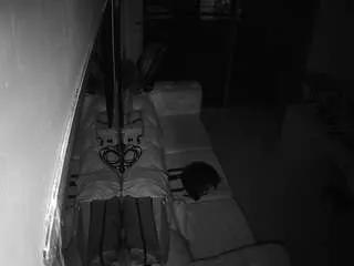 voyeurcam-jb-office-1 on CamSoda 