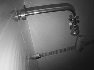 Offline voyeurcam-jb-shower-12 on CamSoda