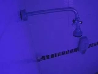 Offline voyeurcam-jb-shower-12 on CamSoda