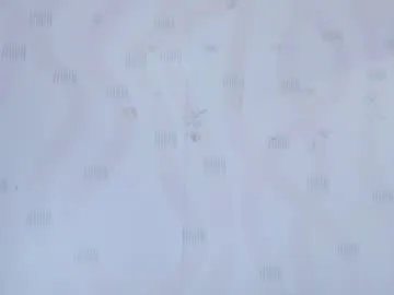 indianbeautiful on Chaturbate