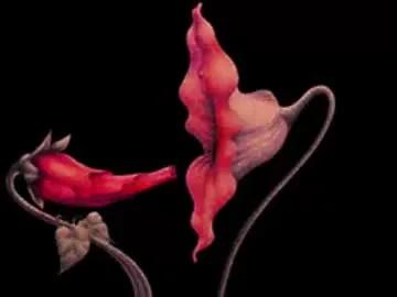 katsurotaro on Chaturbate