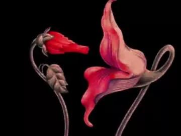 katsurotaro on Chaturbate