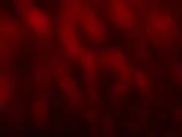 kloelamaravilla18 on Chaturbate