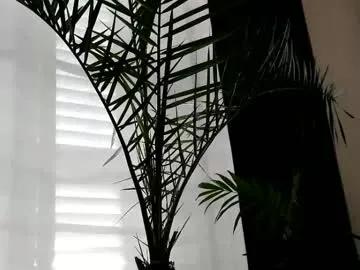 Freechat uncutlover1000 on Chaturbate