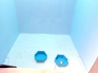 ivyy_bliss on Flirt4Free 