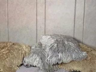 meghan_rosse on Flirt4Free 