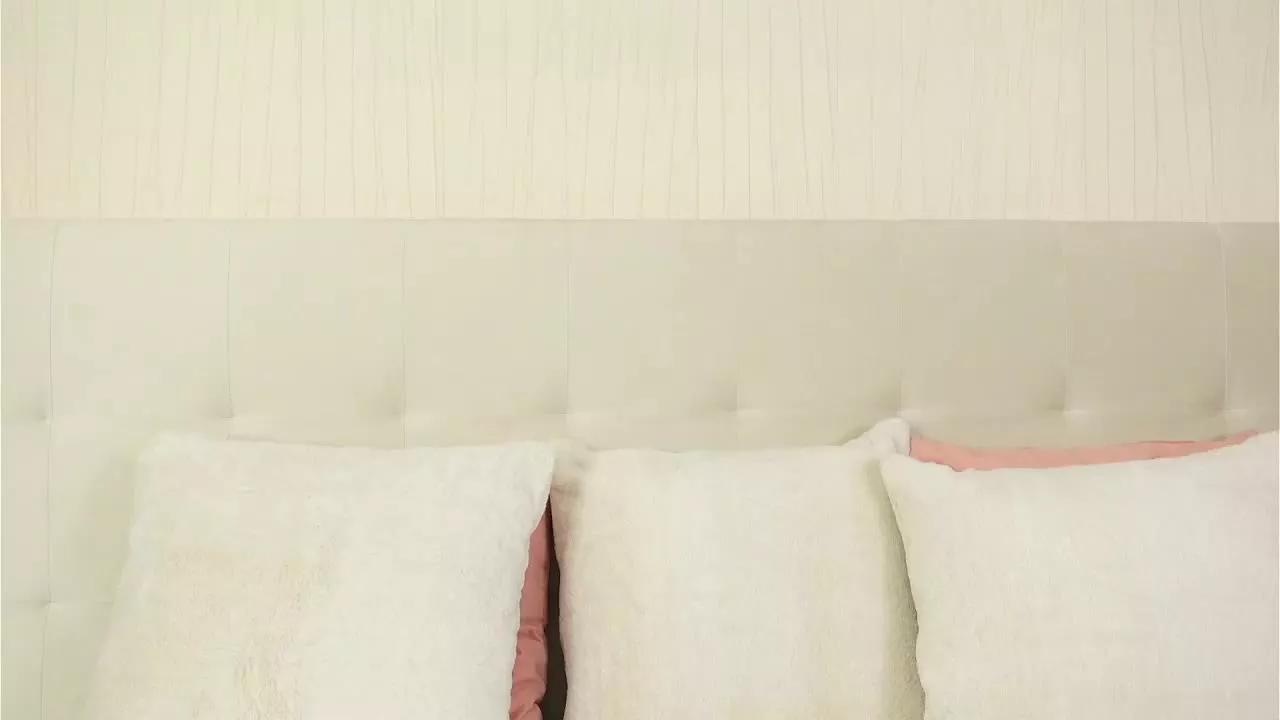 BelaHabibi on Streamray 